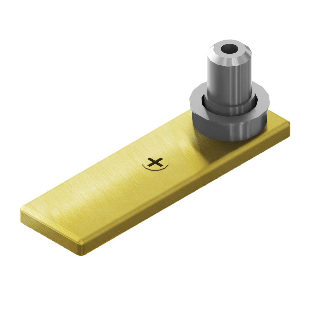 [PPIV403] Patch Pivot - Bottom Door Free-Swinging Pivot for Floor Moun ...